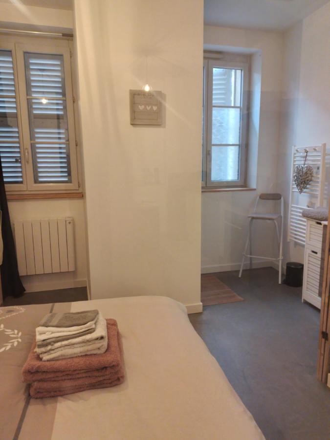 Le Coeur De Sel Apartment Salins-les-Bains Exterior photo